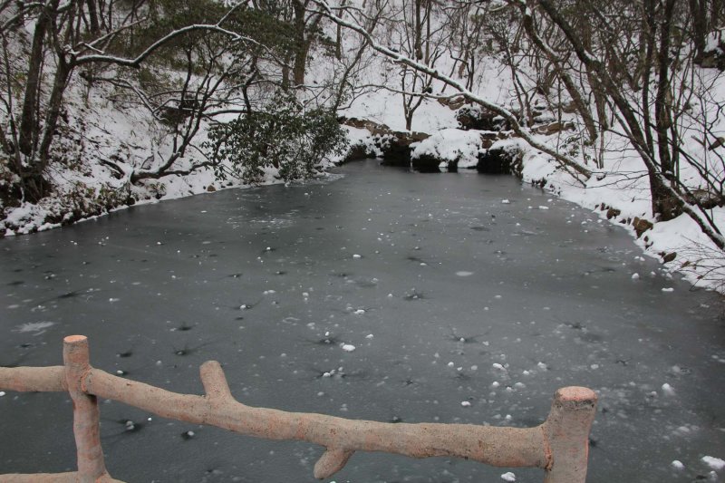 I had no intention of swimming in this pond!