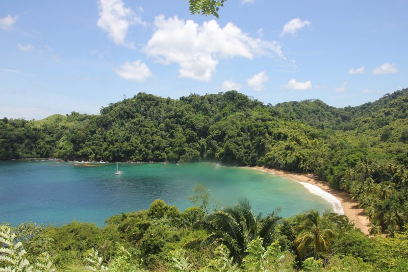 View of Englishmans Bay on the Caribbean Sea in Tobago, a secluded beach that is considered of the islands most beautiful.
