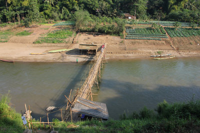 Bamboo bridge that crosses the Mae Kok River.