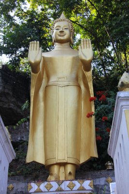 Buddha's hands are in the double abhaya mudra position.