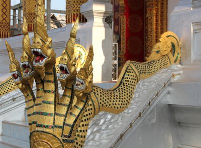 Buddhists believe the naga, which once tried to harm Buddha, was later subdued to become one of his disciples and guardians.
