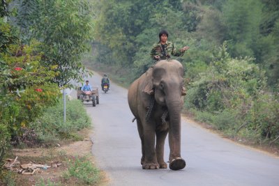On the way to Kuangsi WaterFall Park, we passed this Lao man riding a large elephant.