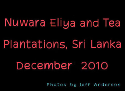 Nuwara Eliya and Tea Plantations cover page.