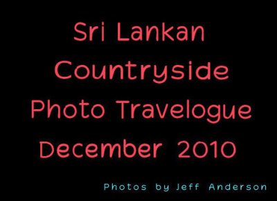 Sri Lankan Countryside (December 2010)