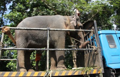 The truck was carrying a heavy load.