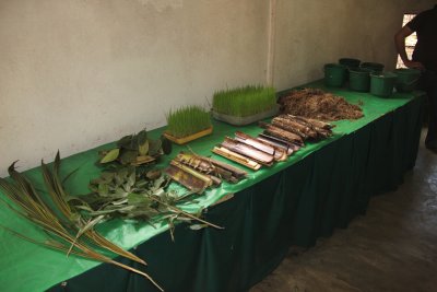 After lunch, I went to a factory where they make elephant dung paper.