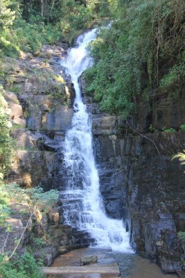 We passed by one of Sri Lanka's many waterfalls on our way to Kandy.