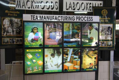 Nuwara Eliya is famous for its tea plantations.  When there, I visited the Mackwoods Tea processing plant.
