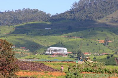 I stayed at the Tea Plantation Hotel in Nuwara Eliya. It was converted from a colonial-era tea factory. It was fabulous!