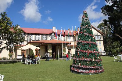 Even though it is not a Christian country, there was a Christmas tree at the Grand Hotel since it was December.