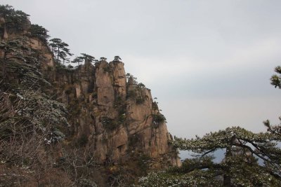 A granite cliff with pine trees.