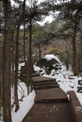 A snowy trail.
