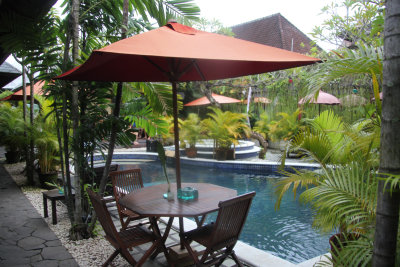 Guesthouse in Bali where I stayed with attractive pool, palms and bamboo trees.