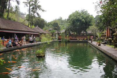 Balinese are drawn to the temple and its sacred spring which is said to have curative properties.