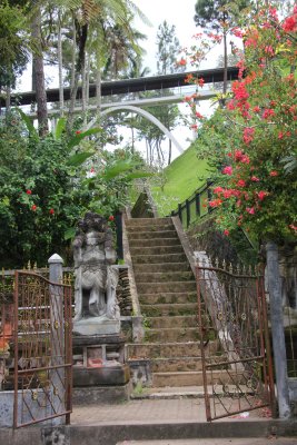 Steps and bougainvilleas at the temple.