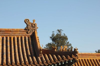 Beast figures are widespread on the buildings in the Forbidden City.  The more beasts, the more important the building.