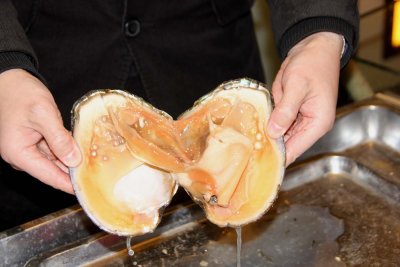 Inside this large oyster, there were at least 8 small pearls.