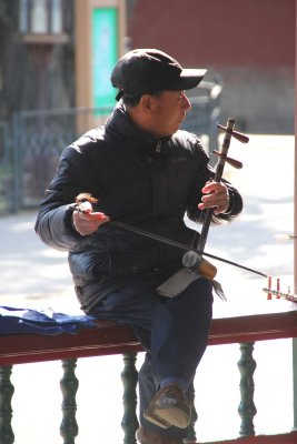 Close-up of one of the musicians with an unusual Chinese stringed instrument.
