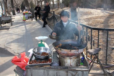 Vendor roasting chestnuts near the Summer Palace in Beijing.