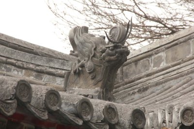This spectacular dragon was in a corner along the cornice of the temple.