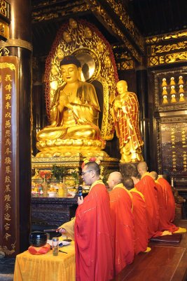 Buddhist monks in orange robes worshipping.