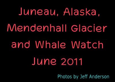 Juneau Alaska Mendenhall Glacier and Whale Watch cover page.