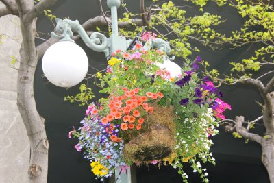 This beautiful hanging basket adorned the lamp post outside of the hotel.