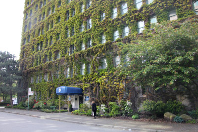 The terra-cotta exterior of the Sylvia Hotel is cover with Virginia creeper vines, giving it even more character.