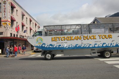 These duck boats on the duck boat tour go on both land and water.