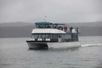 This tourist boat was also on a whale watch.