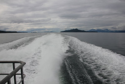 From this wake, it is obvious that our jet-powered catamaran was moving very fast.