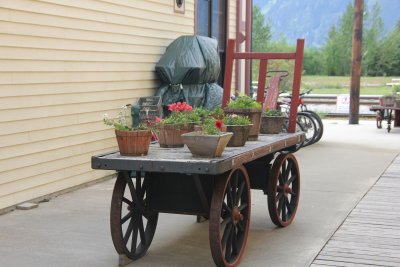 This quaint cart with potted plants was in the middle of the alley.