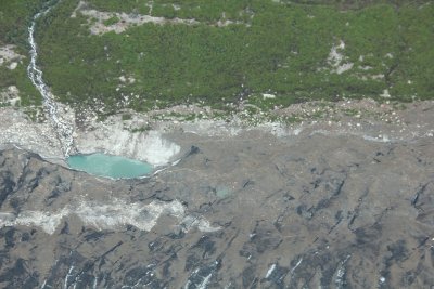 Vegetation next to rock, glacial debris and a glacial pool.