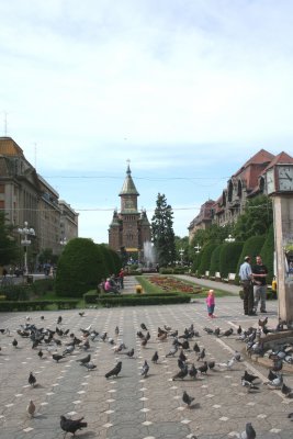 Pigeons and people at Victory Square with Metropolitan Cathedral in the background.
