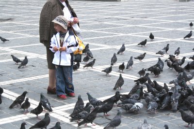 A little boy (& grandmother) feeding pigeons (the pigeons and the boy were having a good day)!
