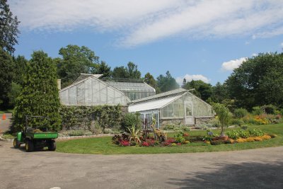 The stone foundations of a former greenhouse provide a protected location for herbs and warm region plants.