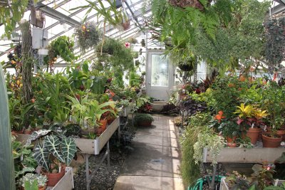 View inside the green house.