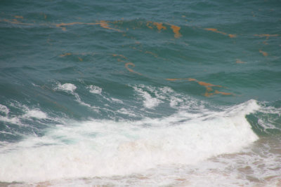 A big wave was coming in due to the approaching Tropical Storm Maria.