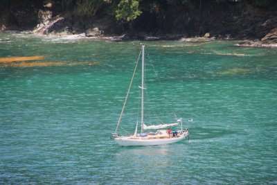 A lone sailboat that was moored in Englishman's Bay.