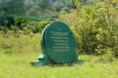 The Main Ridge Forest in Tobago is the oldest forest reserve in the Western Hemisphere and is famous for bird watching.