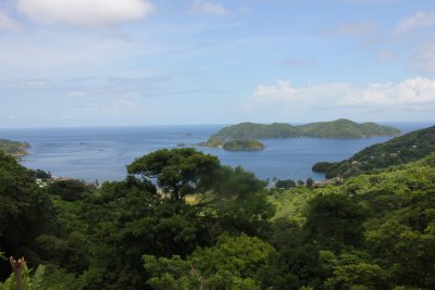 Another view of the Tobago coastline from the rainforest.