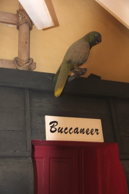 A stuffed St. Lucian Parrot called a Jacquot on display at St. Lucia Distillers.