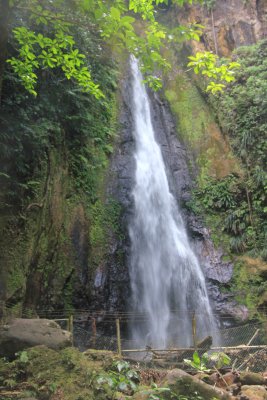 View of Milton Falls, located near the base of Morne Diablotin, the highest peak on the island at 4,700 vertical feet.