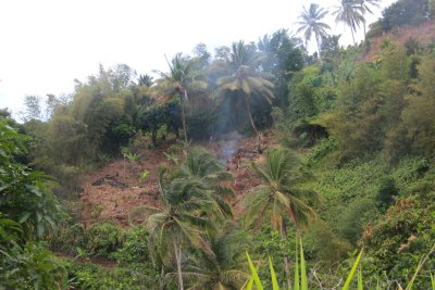 It was the dry season in Dominica, so fires started easily.