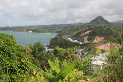 A typical rain forest and mountain view in Dominica.
