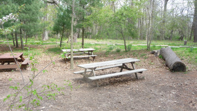 Picnic tables at the Bartow-Pell Mansion.  We had a picnic lunch there.