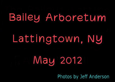 Bailey Arboretum, Lattingtown, NY (May 2012)