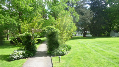 Pathway that leads to the main house.