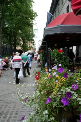 Colorful flowers on this street.