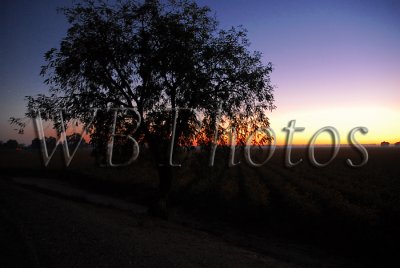 Sunsets and Sunrise